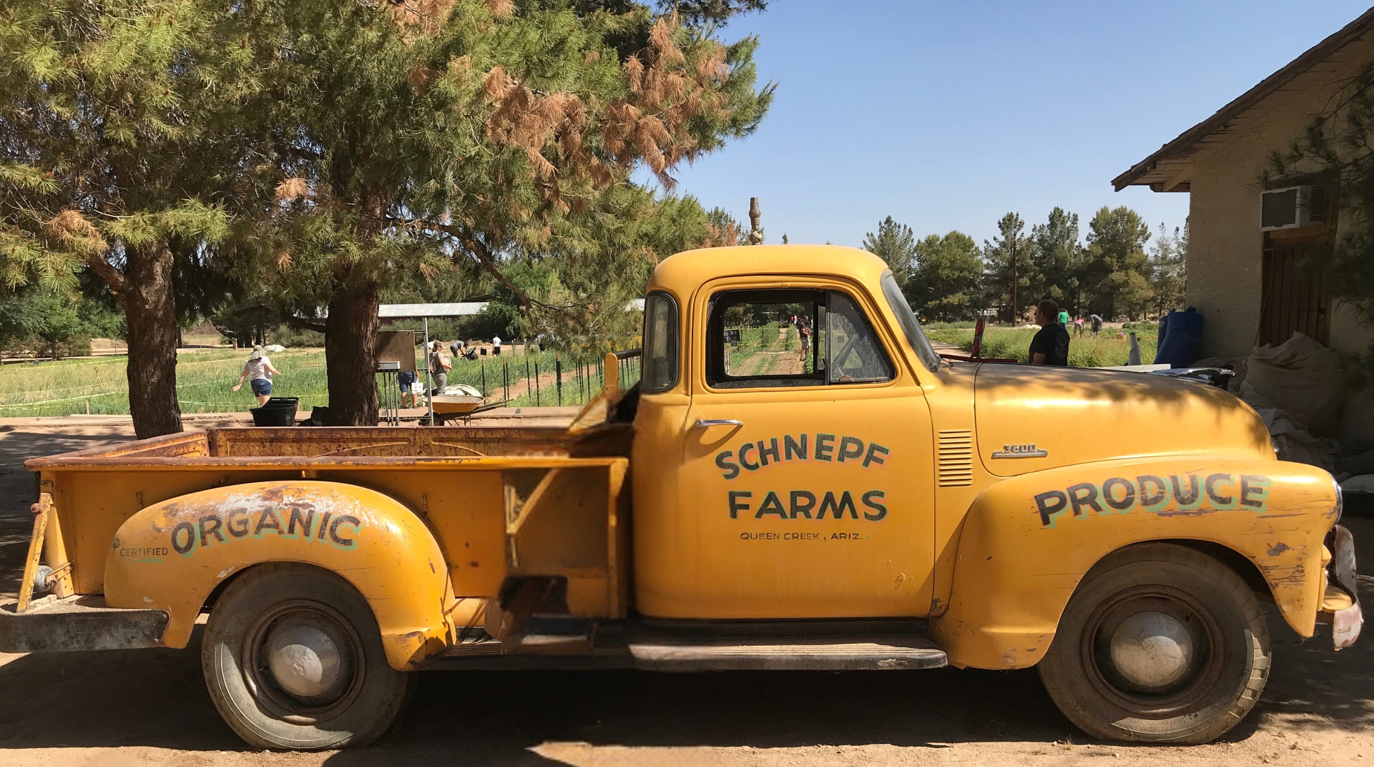 Schnepf Farms vintage truck in Queen Creek, AZ Schnepf Farms vintage truck in Queen Creek, AZ — a beloved local landmark near Gold Canyon and Superstition Foothills Baptist Church